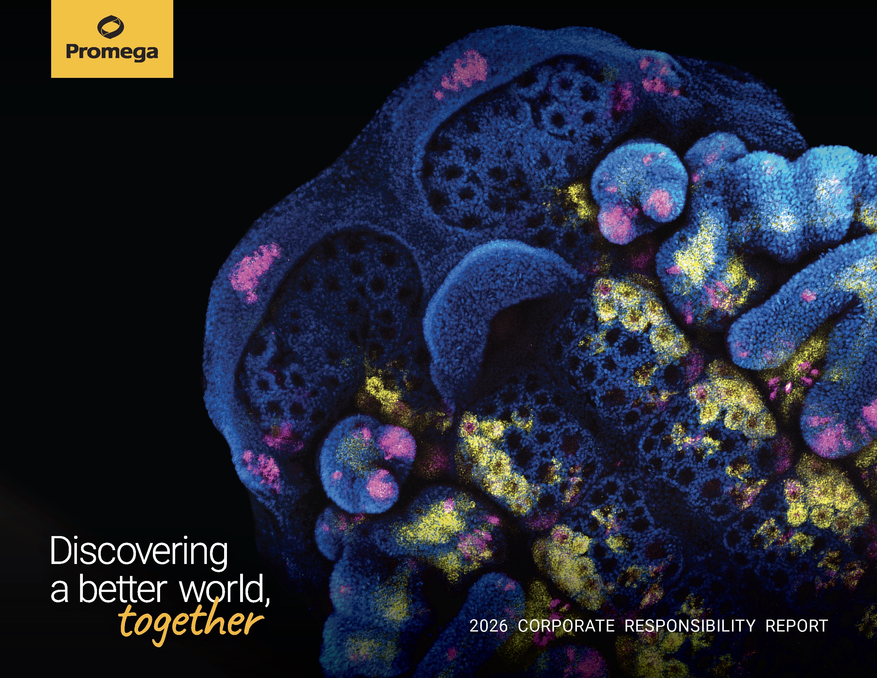 crr2026-cover-final-july-20