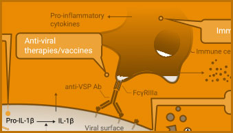 immune-tile-middle2