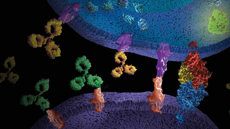 immuno-biologics-3-product