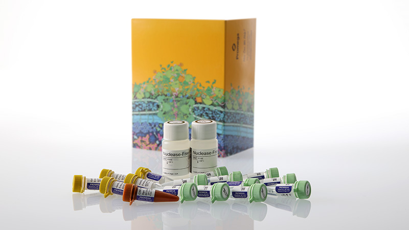 am2011-gotaq-enviro-qpcr-system-3