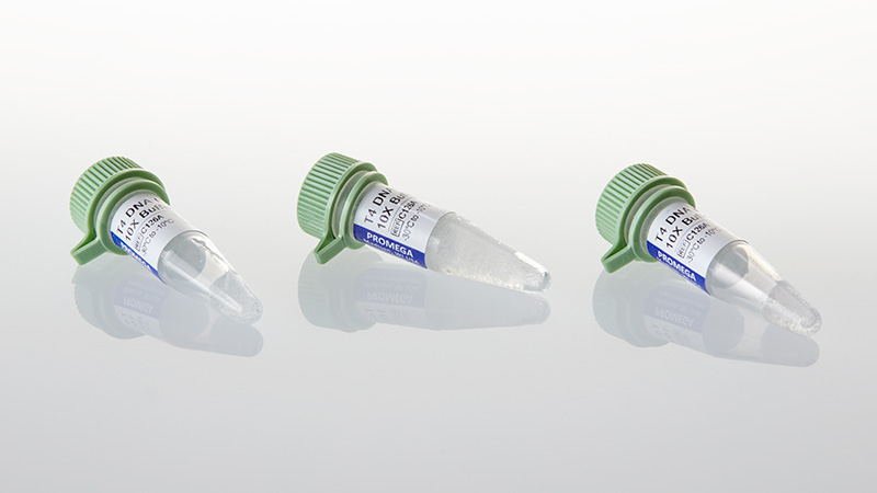 C1263_T4-DNA-Ligase-Buffer-Pack_3