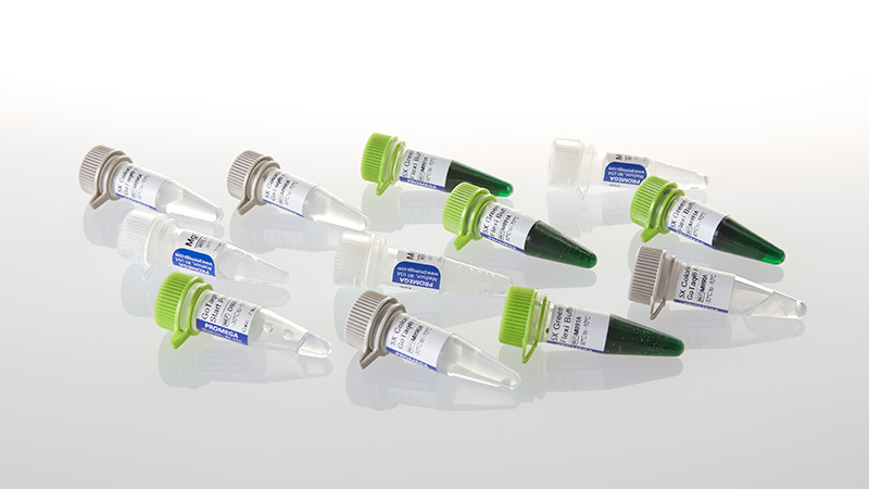 D6005_GoTaq--MDx-Hot-Start-Polymerase--500u_3