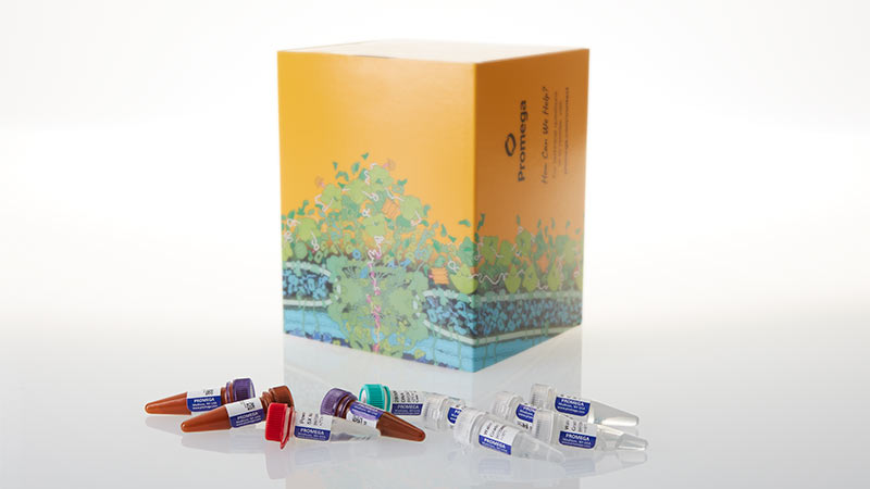 PowerPlex 35GY System