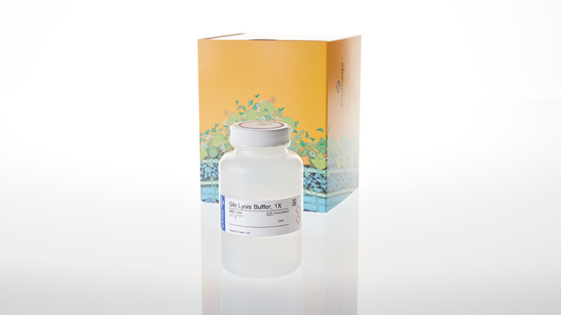 Glo Lysis Buffer 1X 100ml