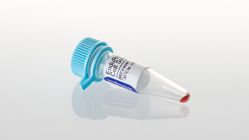 E6482_EnduRen--Live-Cell-Substrate--3-4mg_3