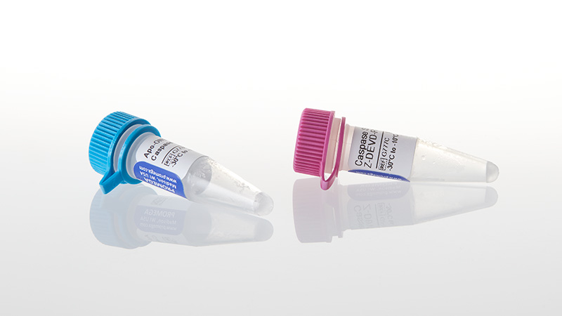G7792_Apo-ONE--Homogeneous-Caspase--3-3a7-Assay_3