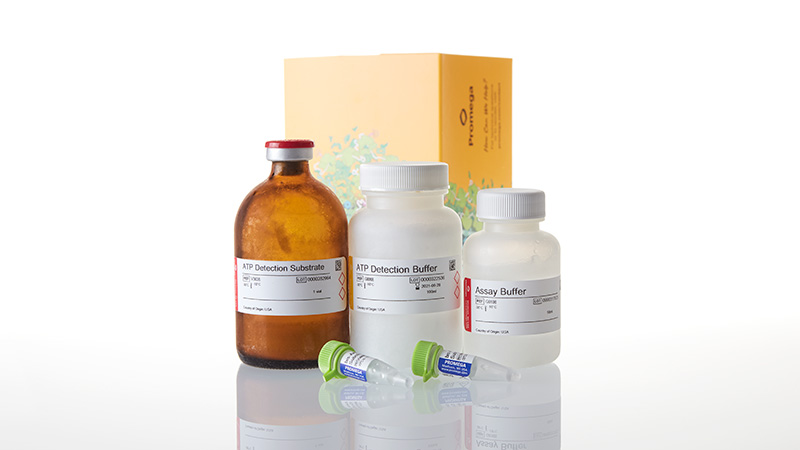 G8001_Mitochondrial-ToxGlo--Assay---100ml_3