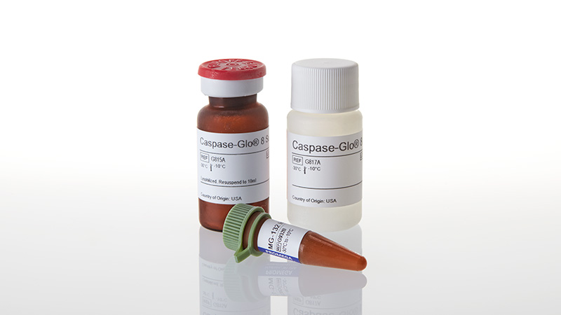 G8201_Caspase-Glo--8-Assay--10ml_3