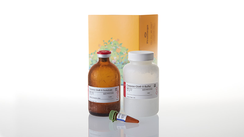 G8202_Caspase-Glo--8-Assay--100ml_3