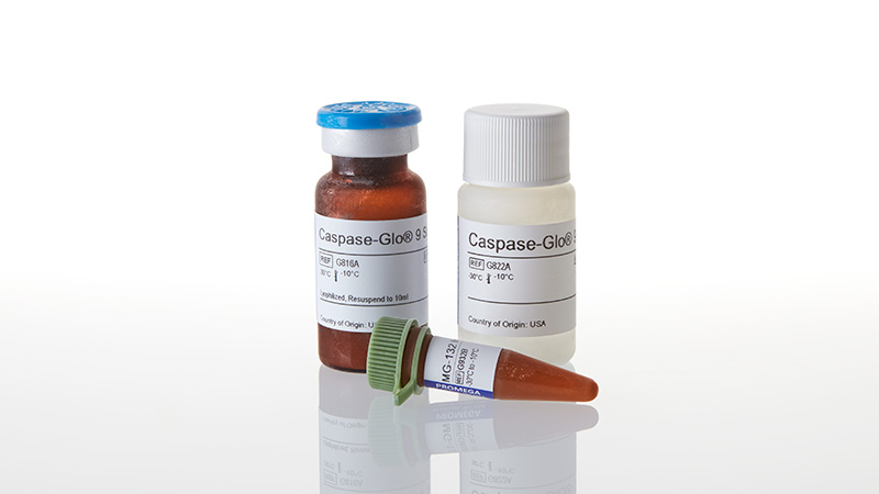 G8211_Caspase-Glo--9-Assay--10ml_3