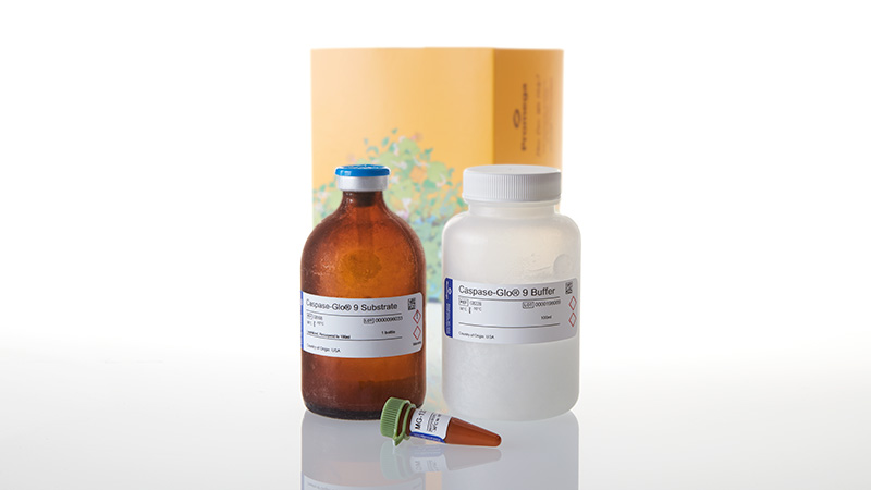 G8212_Caspase-Glo--9-Assay--100ml_3