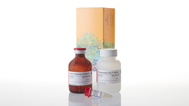 G8622_Proteasome-Glo--Chymo--trypsin-Like-A_3
