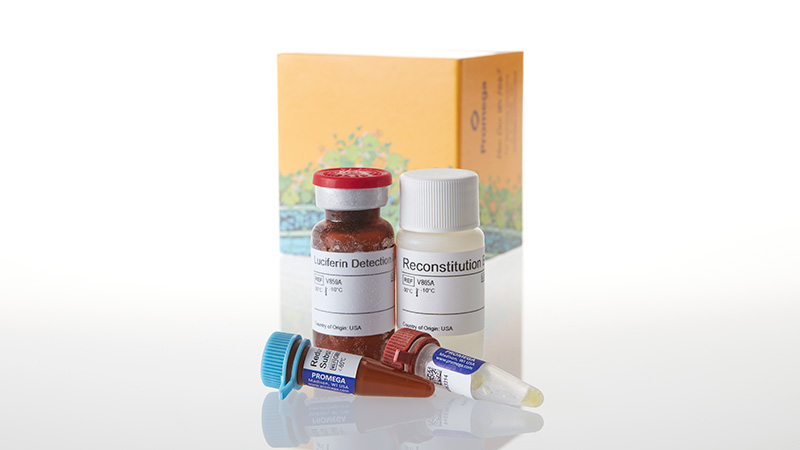 G9061_NADPH-Glo Detection System_3