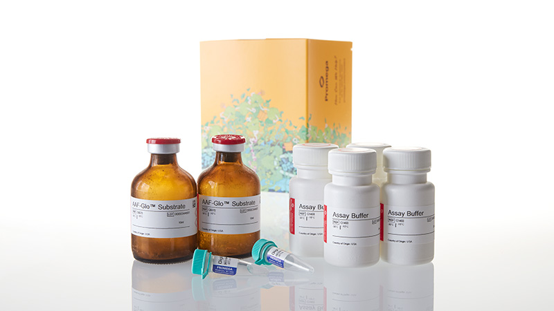 G9292_CytoTox-Glo--Cytotoxicity-Assay--2x50ml_3