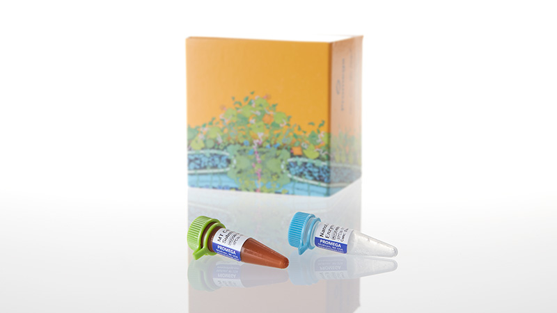 G9711_RealTime-Glo--MT-Cell-Viability--100_3