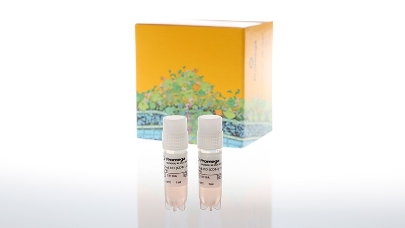 ga1162tcellactivationbioassaytcralphabetakocd8propagationmodel3