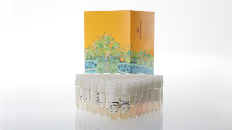 ga1410-il-2rbg-bioassay-cell-bank