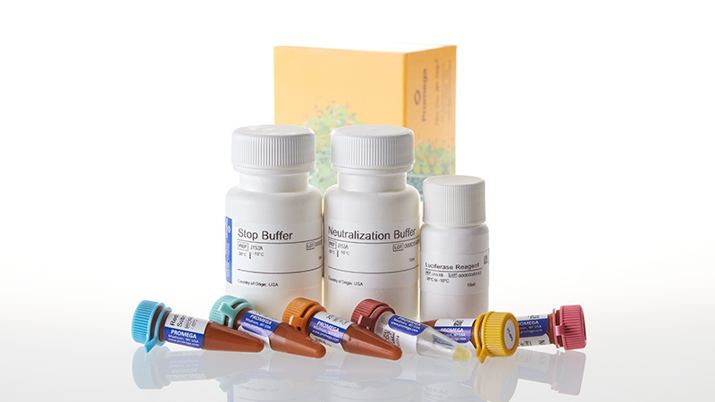 J1342_Glucose-Uptake-Glo-Assay-10ml-3