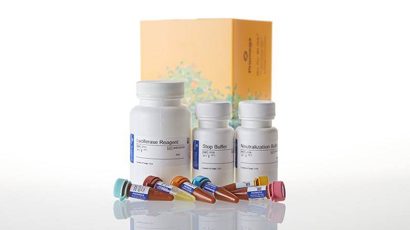 J1343_Glucose-Uptake-Glo-Assay-50ml-3