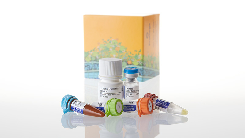 J5021_Lactate-Glo