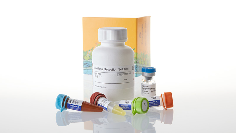 J5022_Lactate-Glo