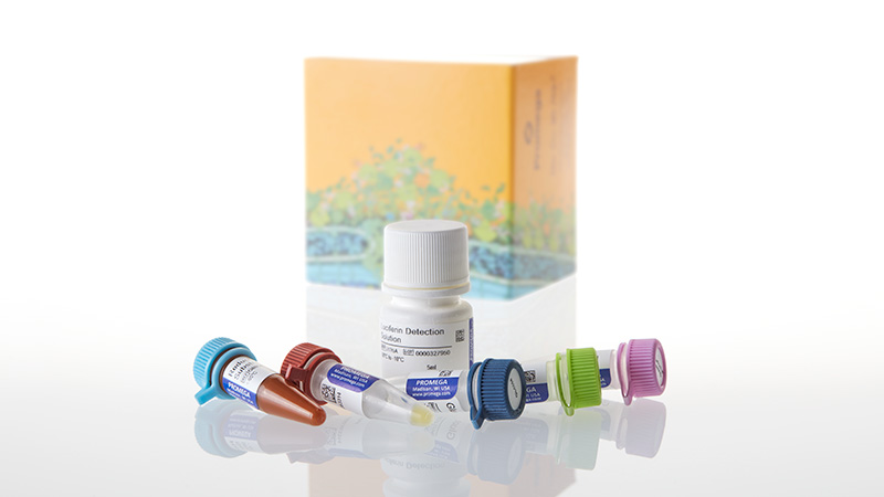J6021_Glucose-Glo Assay-5ml_3