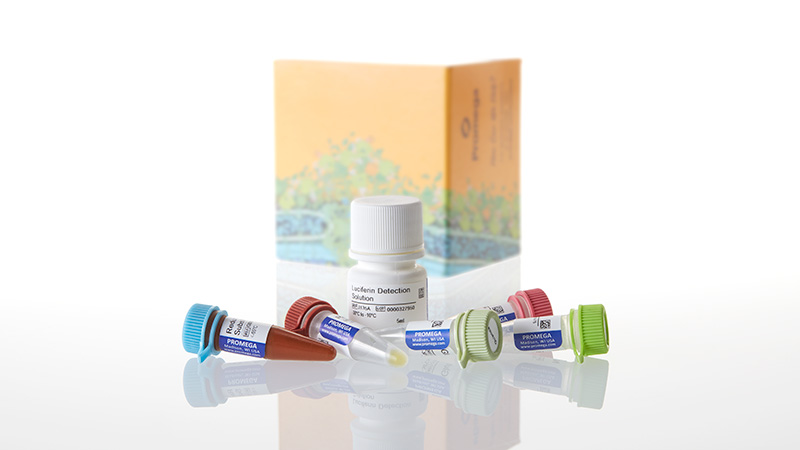 J7021_Glutamate-Glo