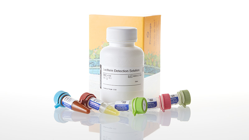 J7022__Glutamate-Glo