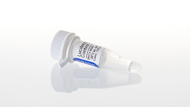 L4821_Luciferase-T7-Control-DNA--20ug_3