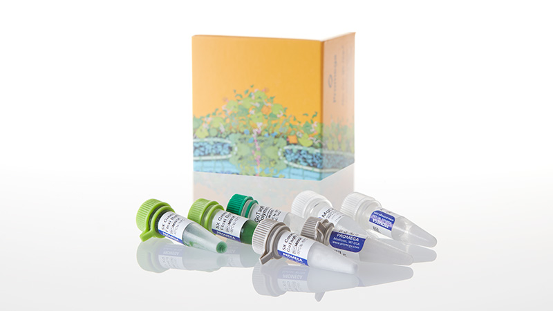 M7660_GoTaq--PCR-Core-System-I-200rxs_3