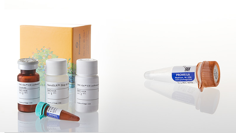 N1541_Nano-Glo-Dual-Luciferase-Reporter-Assay