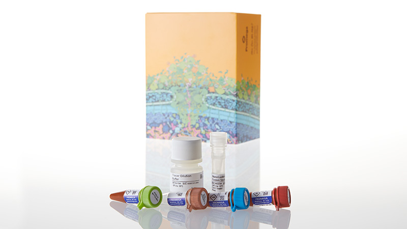 N2081_Nano-Glo-Dual-Luciferase-Reporter-Assay