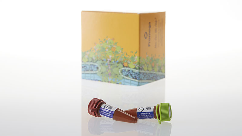 N2162_Intracellular-TE-Nano-Glo--SubstrateInhibitor--100-Assay_3