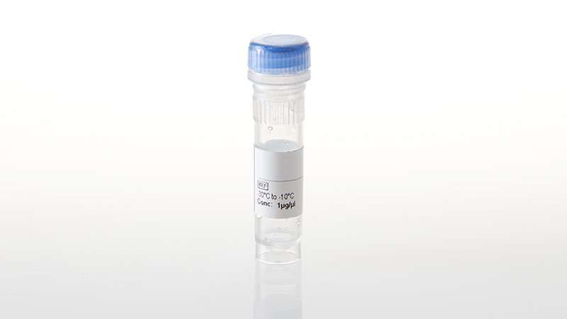 NV3201_NanoLuc--GSK3B