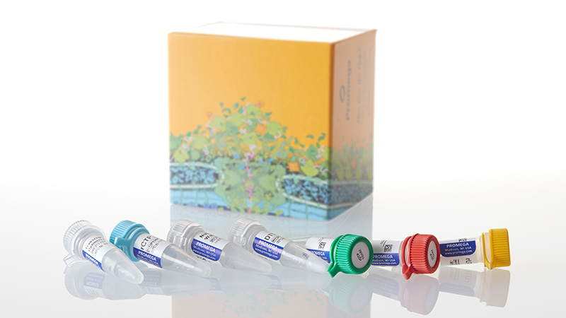 P1121_Riboprobe--System-Buffers_3