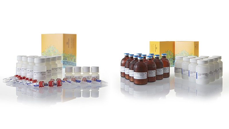 V1683_cAMP-Glo-Max-Assay