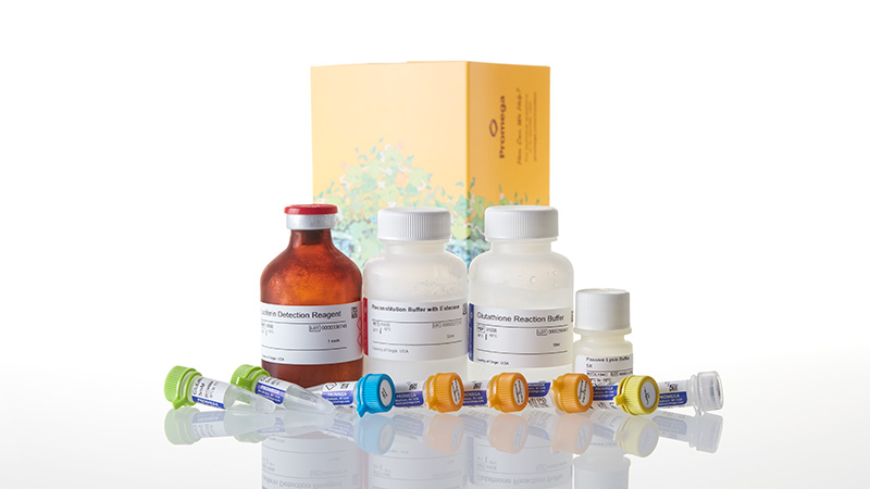 V6612_GSH-3aGSSG-Glo--Assay--50ml_3