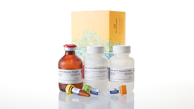 V6912_GSH-Glo--Glutathione-Assay--50ml_3