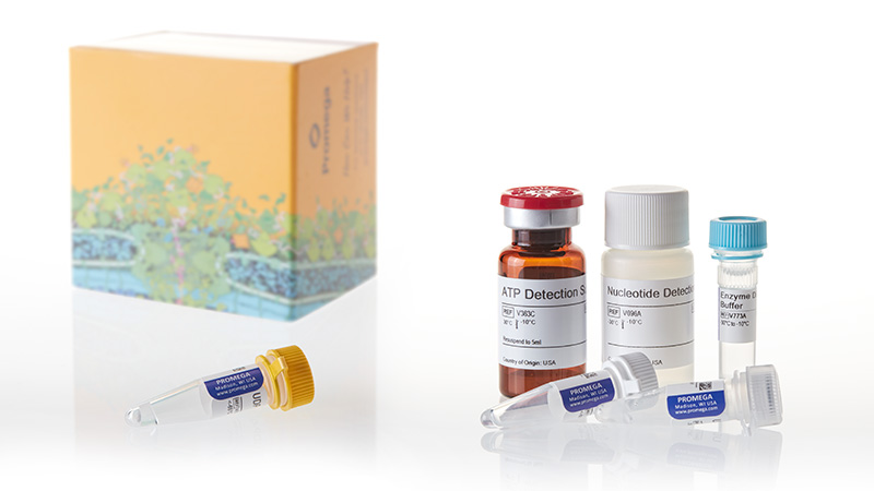 V6991_UDP-Glo-Glycosyltransferase