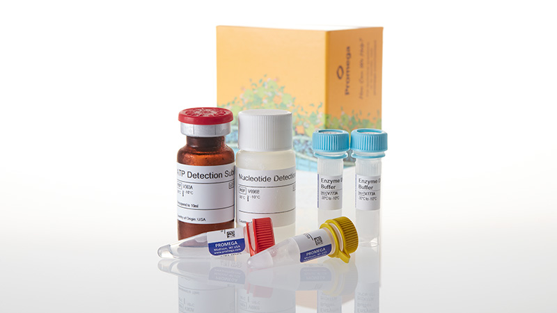 VA1091_GDP-Glo-Glycosyltransferase-Assay