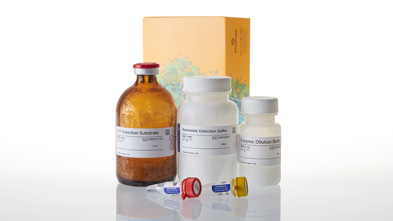 VA1092_GDP-Glo-Glycosyltransferase-Assay