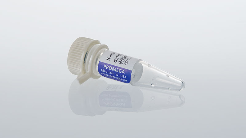 w2070-lumit-5-methoxyuridine-dsrna-standard
