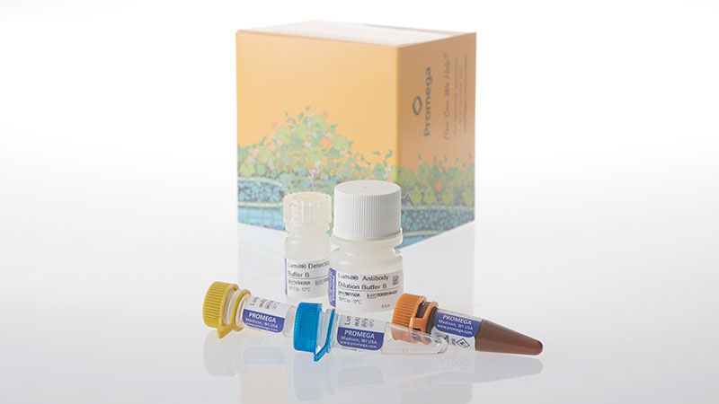 w8010-lumit-insulin-immunoassay