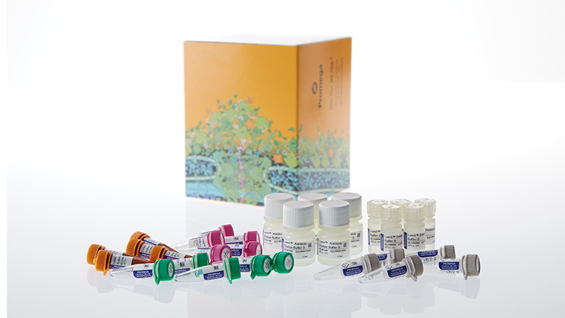 w8022-lumit-glucagon-immunoassay-3