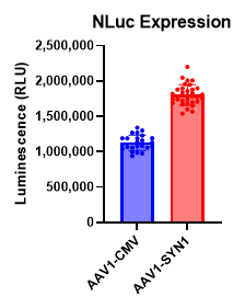 Janelia Fluor NLuc Expression