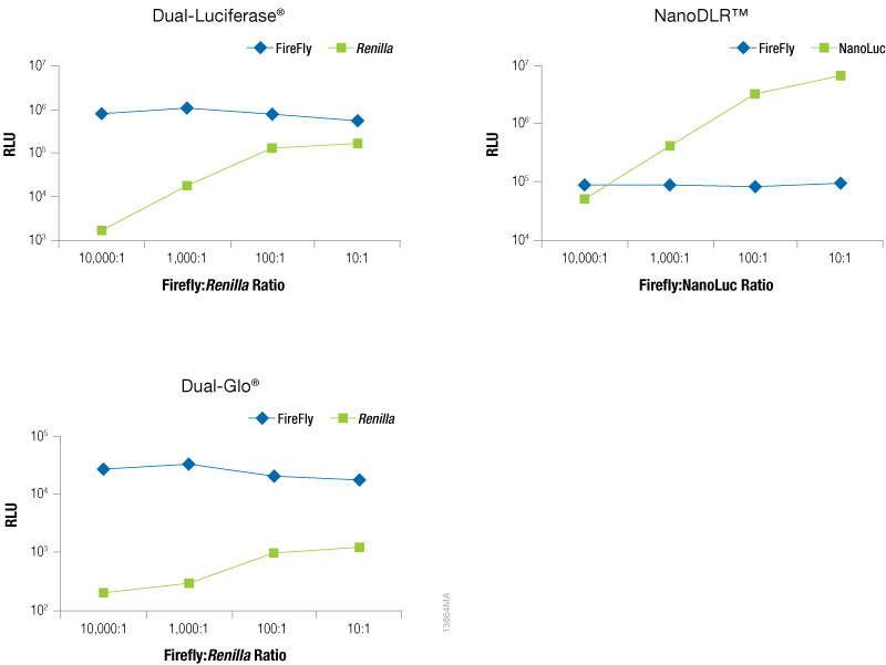  RLUs for firefly and co-reporter luciferase.