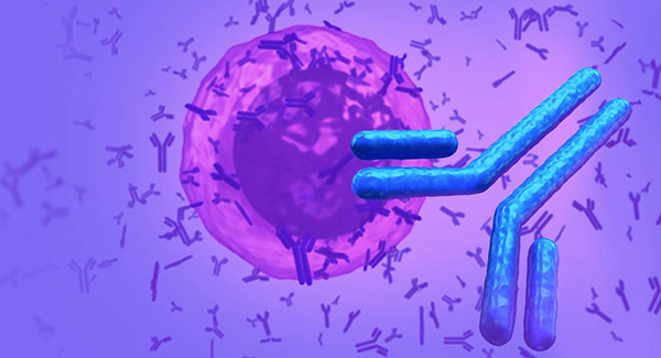 Characterizing a Novel Anti-CTLA-4 Blockade mAb