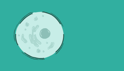 A plasmid passes through cell membrane 